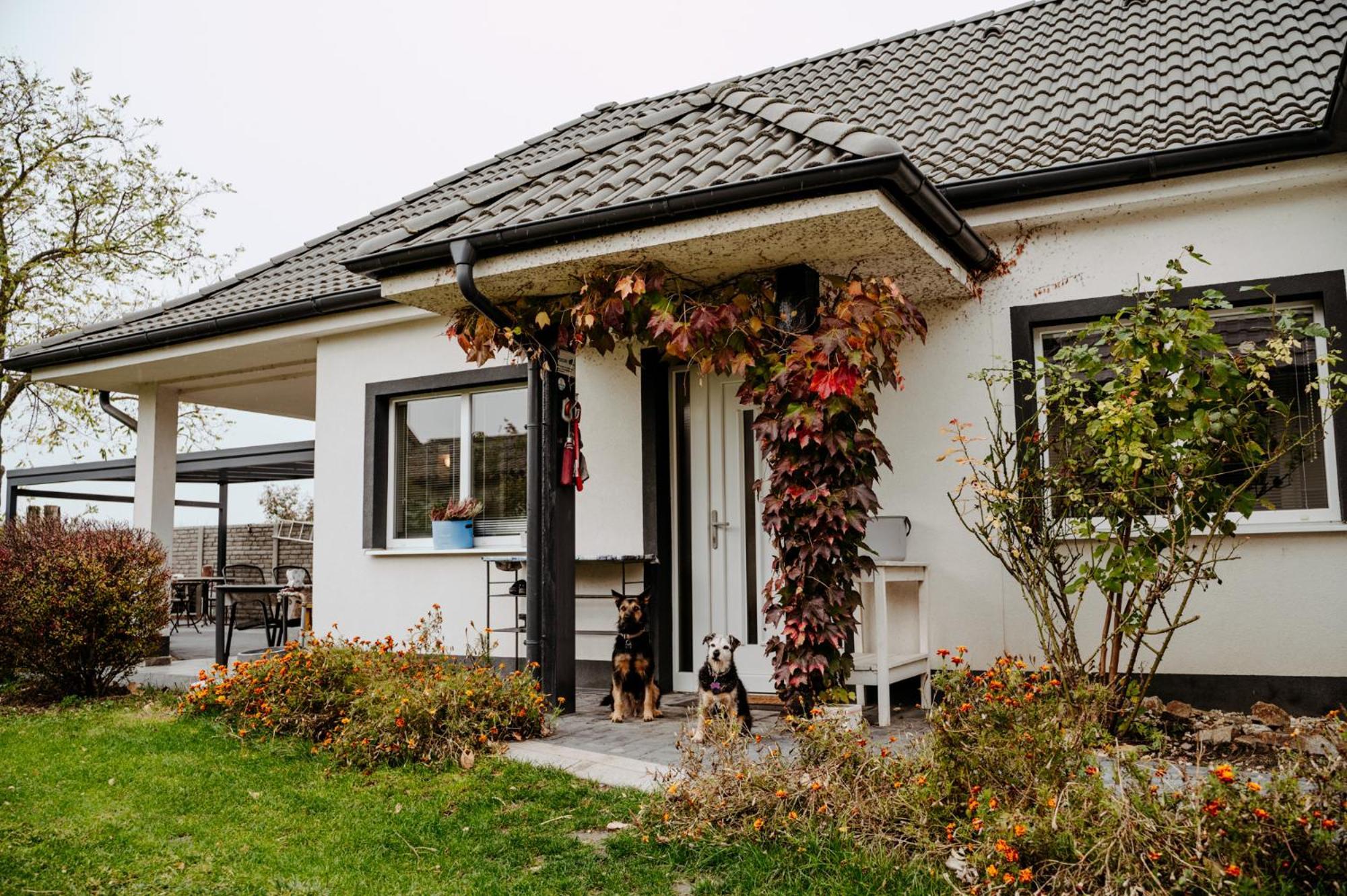 Big Garden House Villa Dunajská Streda Exterior photo