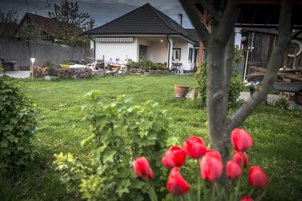 Big Garden House Villa Dunajská Streda Exterior photo